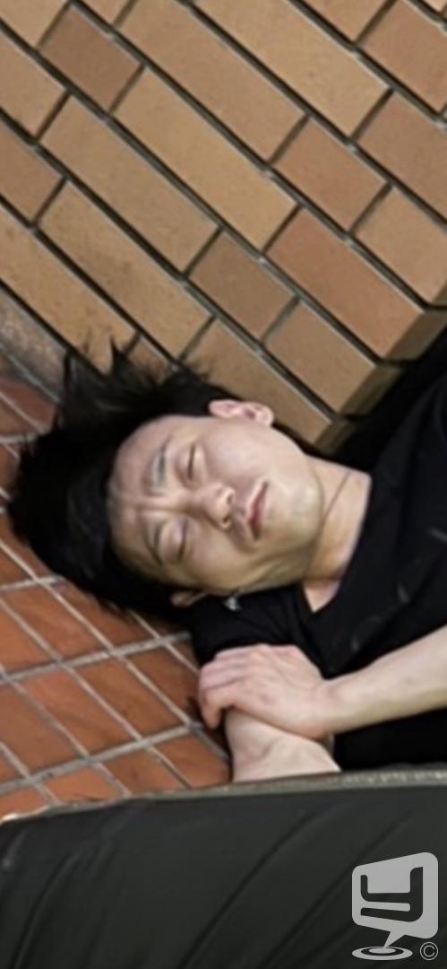 今日の一枚
