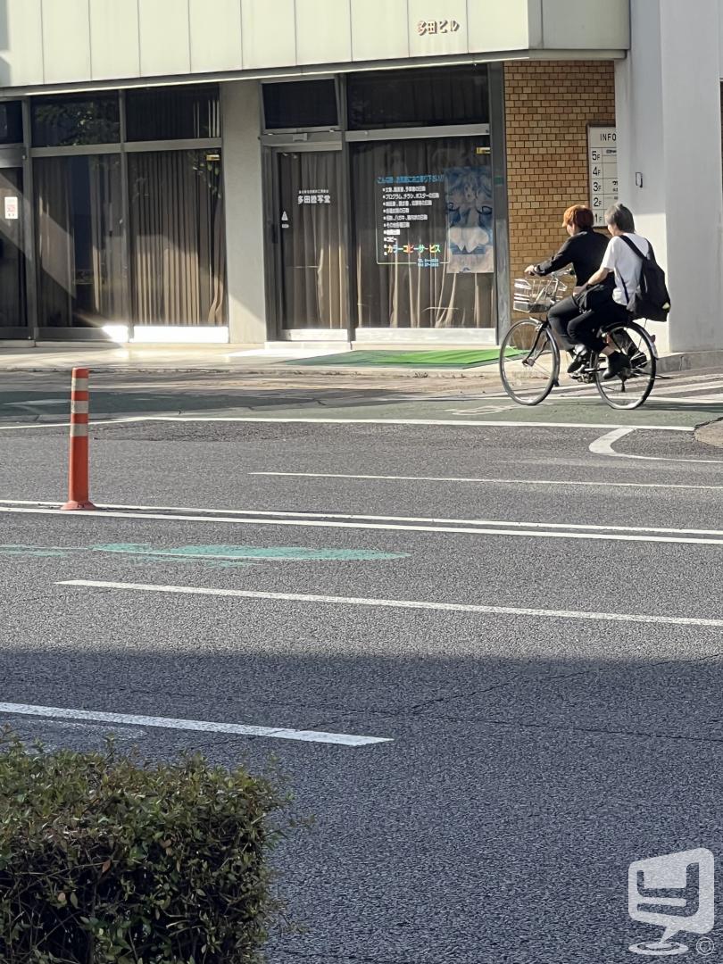 今日の一枚