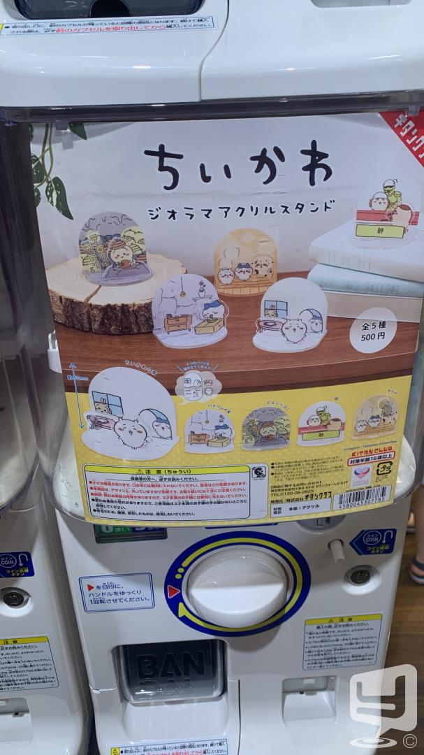 今日の一枚