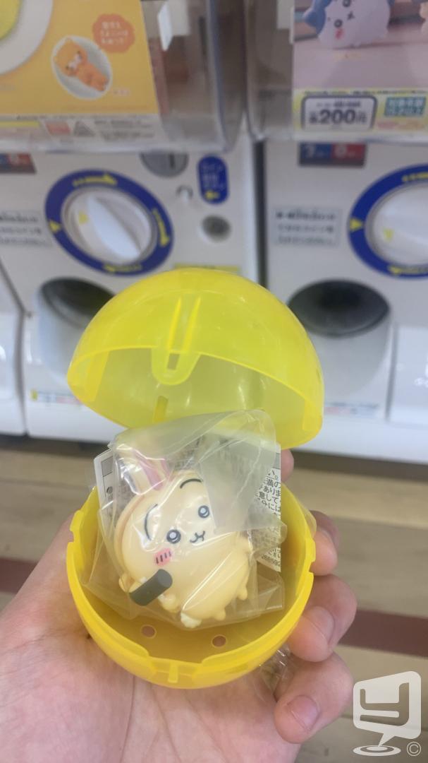 今日の一枚