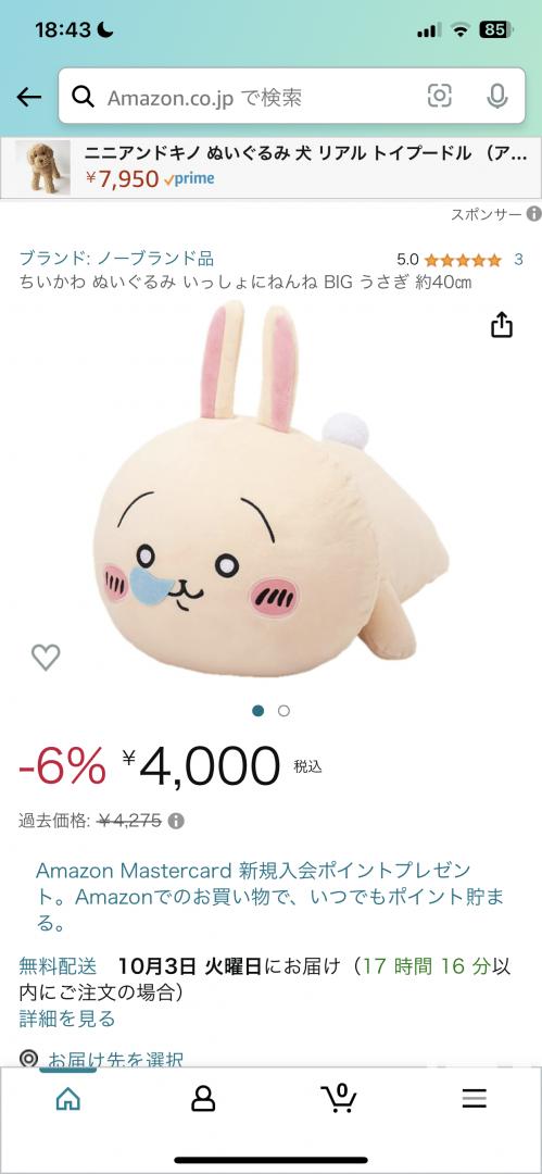 今日の一枚