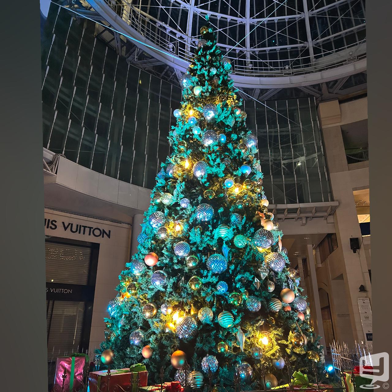 今日の一枚 カワイイ 嬉しい♪ destiny-acro- #香川 #香川 香川最強