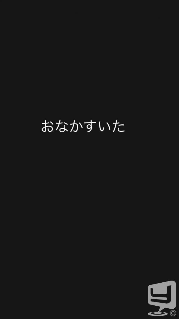 今日の一枚