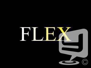 FLEX